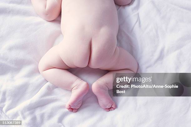 baby's buttocks, high angle view - female derriere stockfoto's en -beelden