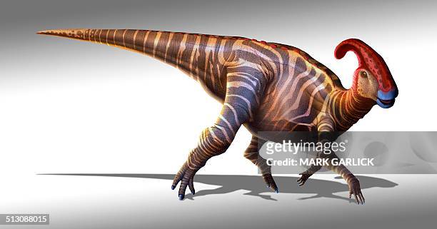 parasaurolophus dinosaur, artwork - ornithopod stock illustrations
