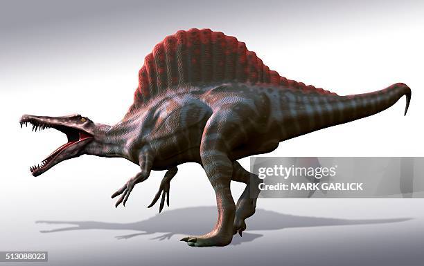 192点のスピノサウルスイラスト素材 Getty Images