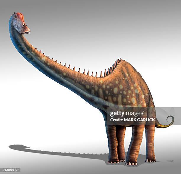 illustrations, cliparts, dessins animés et icônes de diplodocus dinosaur, artwork - diplodocus