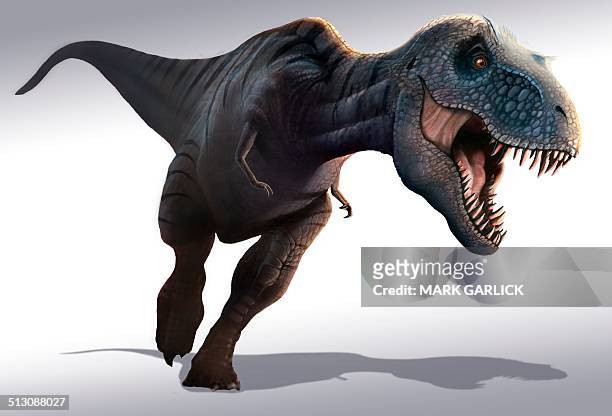 tyrannosaurus rex, artwork - t rex stock-grafiken, -clipart, -cartoons und -symbole
