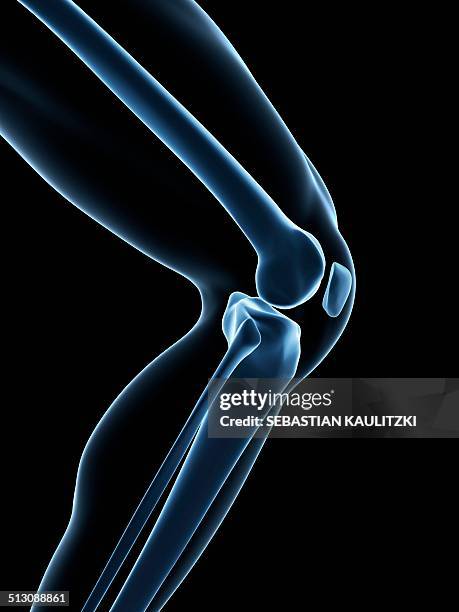 human knee joint, artwork - human leg stock illustrations