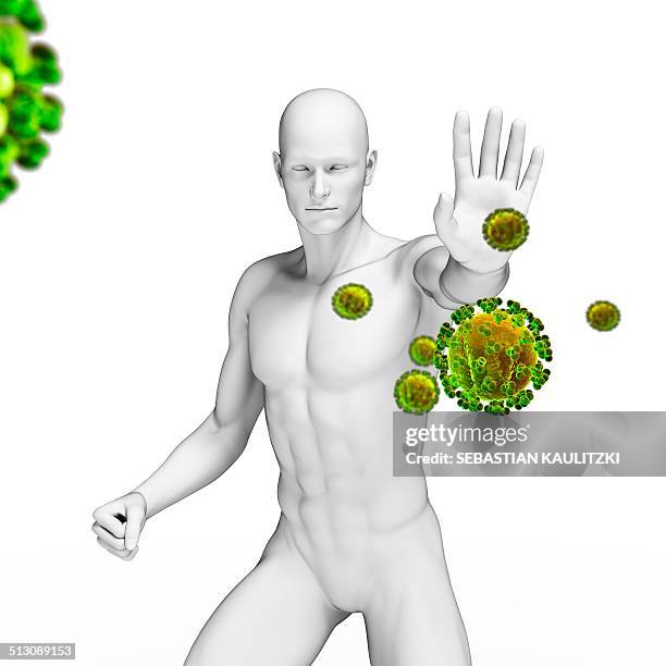 human immune system, artwork - the immune system stock illustrations