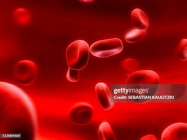 illustrazioni stock, clip art, cartoni animati e icone di tendenza di human red blood cells, artwork - globulo rosso