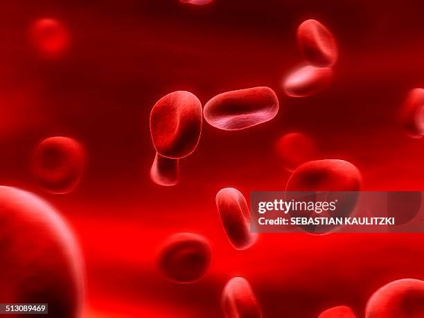 stockillustraties, clipart, cartoons en iconen met human red blood cells, artwork - red blood cells