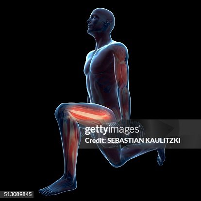 Weight training, artwork Weight training, artwork