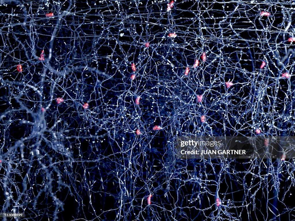 Neuron network, artwork