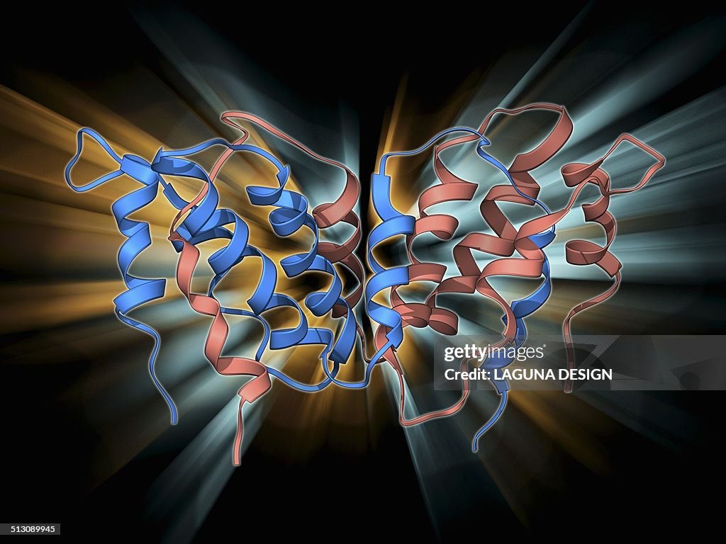 Interferon gamma molecule