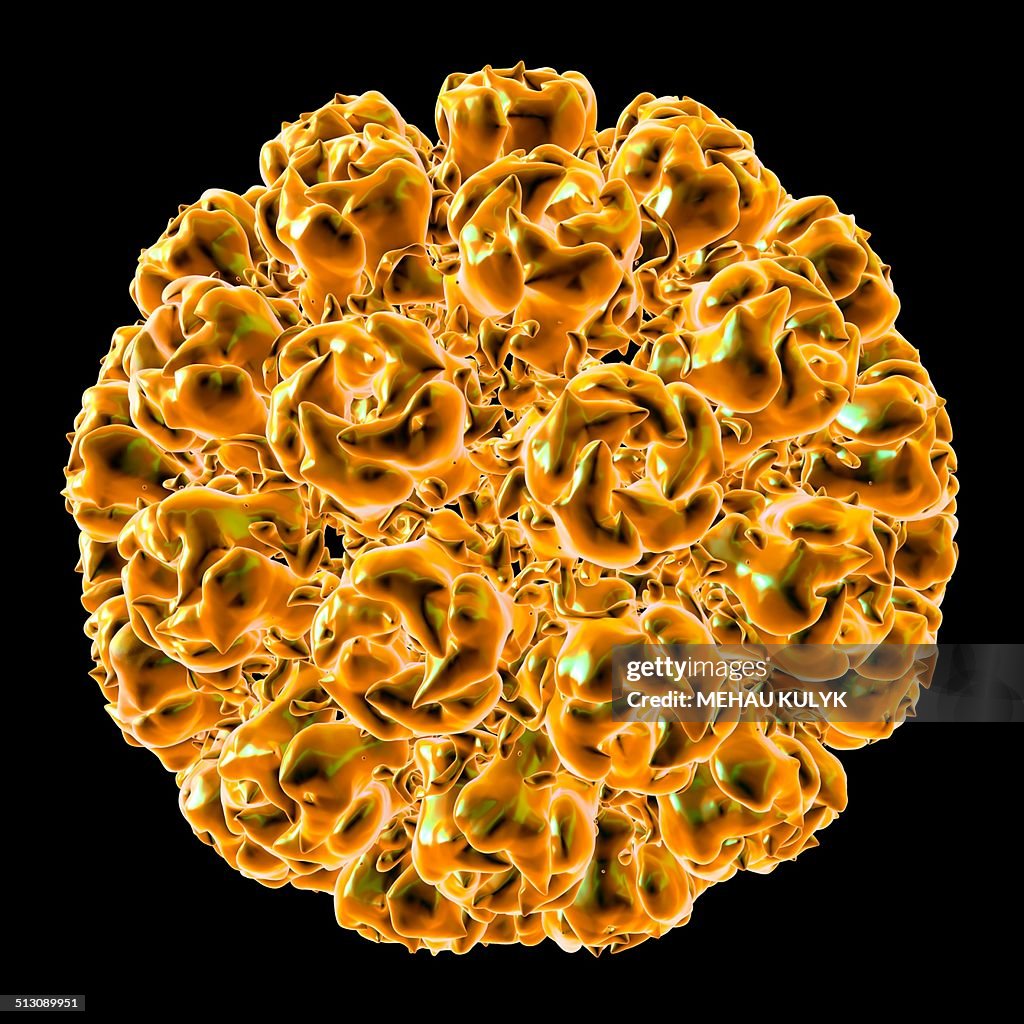 Simian virus 40, artwork
