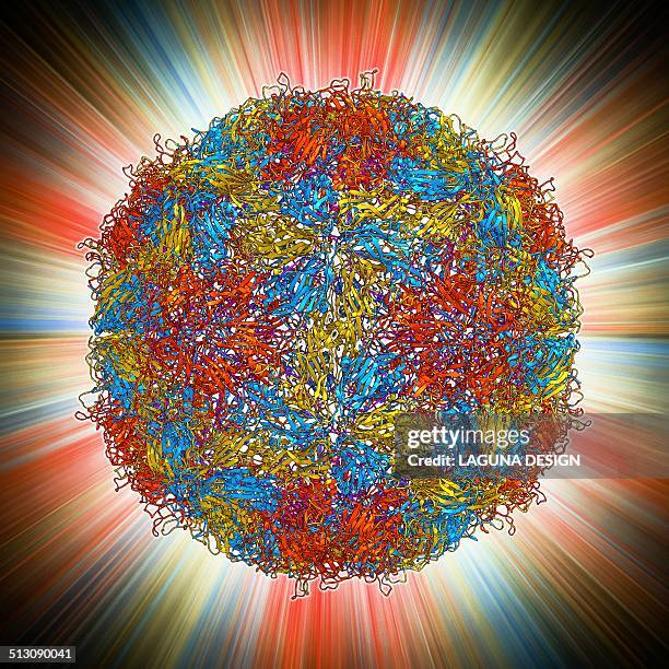 illustrazioni stock, clip art, cartoni animati e icone di tendenza di mengovirus capsid, molecular model - picornaviridae