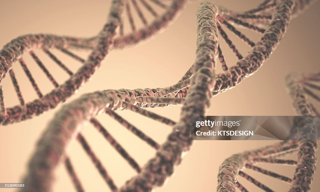 DNA double helix, artwork