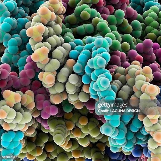 Protein Structure Vector Protein Structure Photos and Premium High Res Pictures - Getty Images