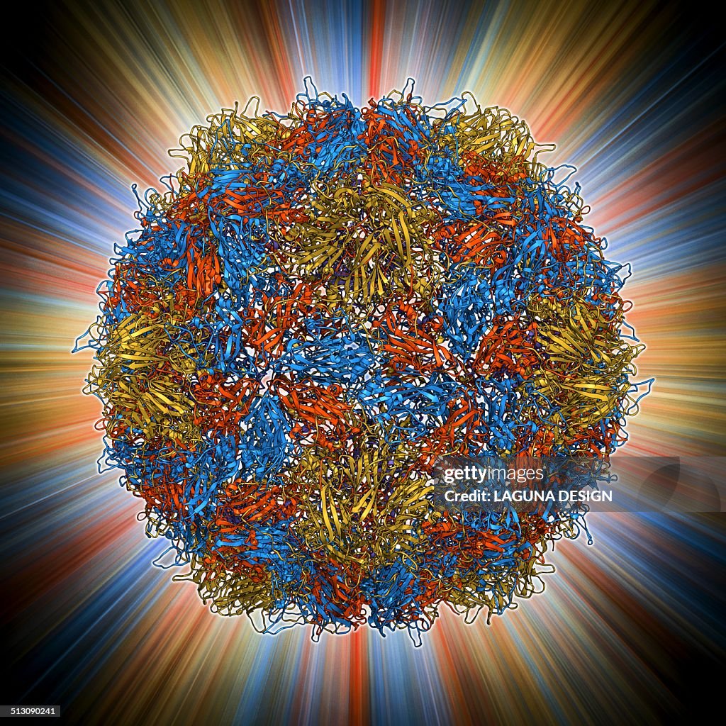 Vector Capsid Poliovirus Type 3 Capsid Molecular Model High-Res Vector Graphic ...