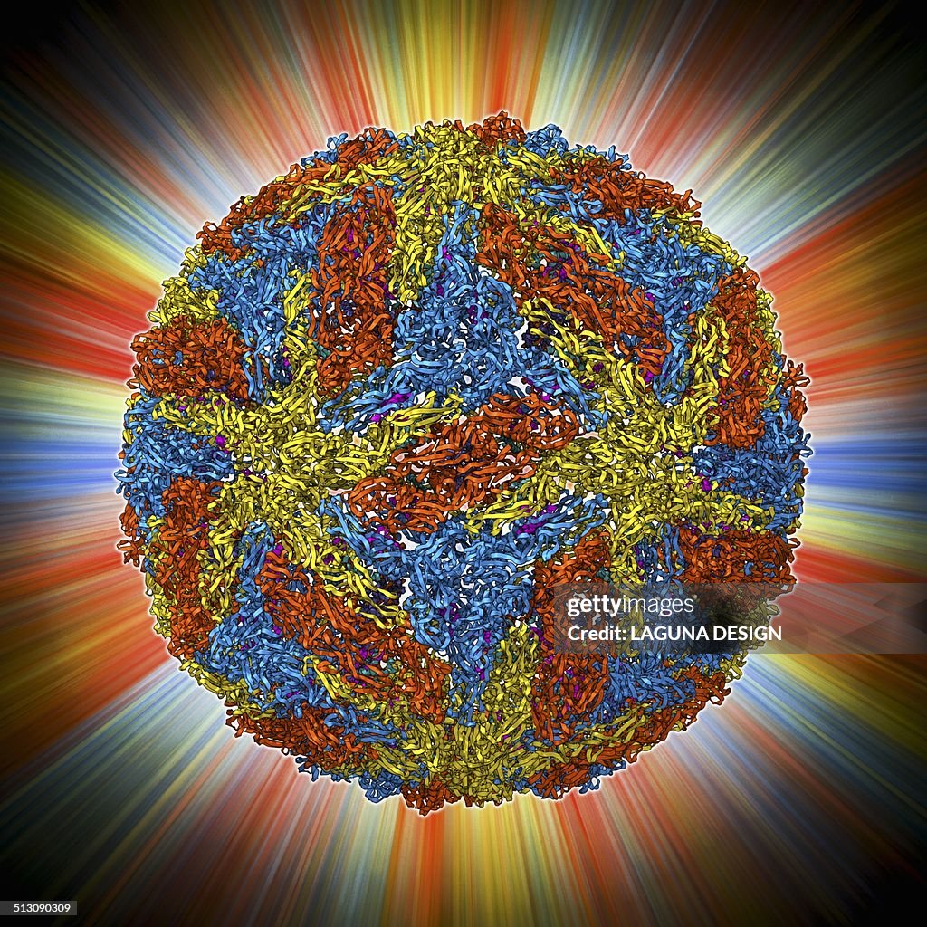 Vector Capsid Dengue Virus Capsid Molecular Model High-Res Vector Graphic - Getty Images