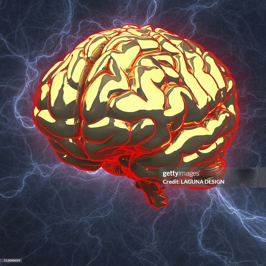 Human brain, artwork