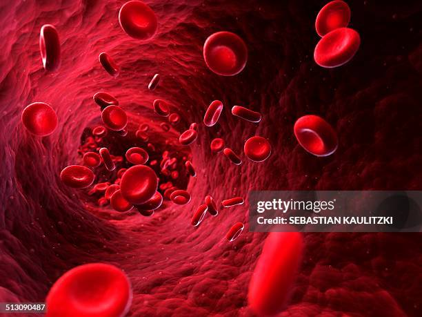 illustrazioni stock, clip art, cartoni animati e icone di tendenza di human red blood cells, artwork - globulo rosso