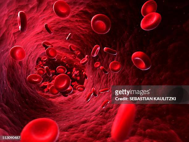 human red blood cells, artwork - red blood cell stock illustrations