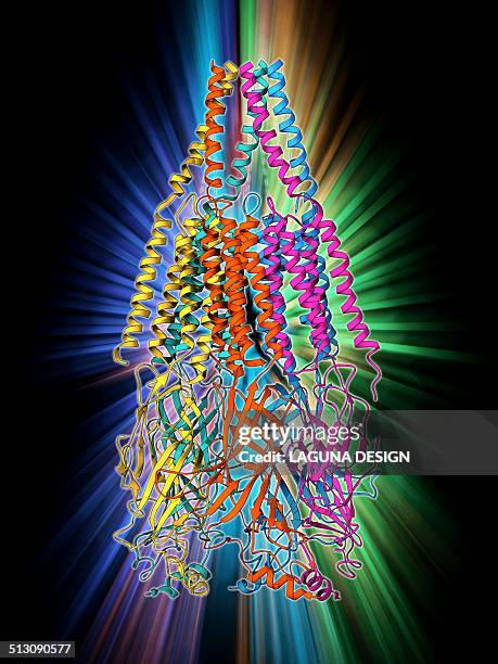 acetylcholine receptor molecule - synapsenspalt stock-grafiken, -clipart, -cartoons und -symbole