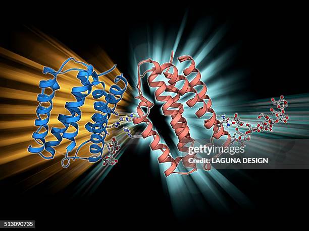 stockillustraties, clipart, cartoons en iconen met human interferon beta molecule - multiple sclerose