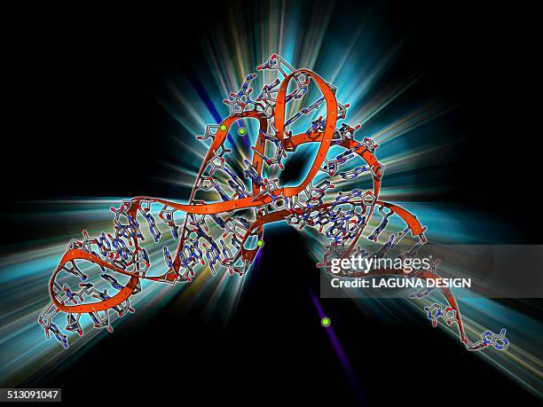 illustrations, cliparts, dessins animés et icônes de trna molecule - rna