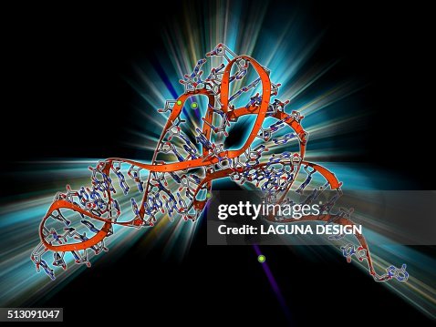 Trna Texture Trna Molecule High-Res Vector Graphic - Getty Images