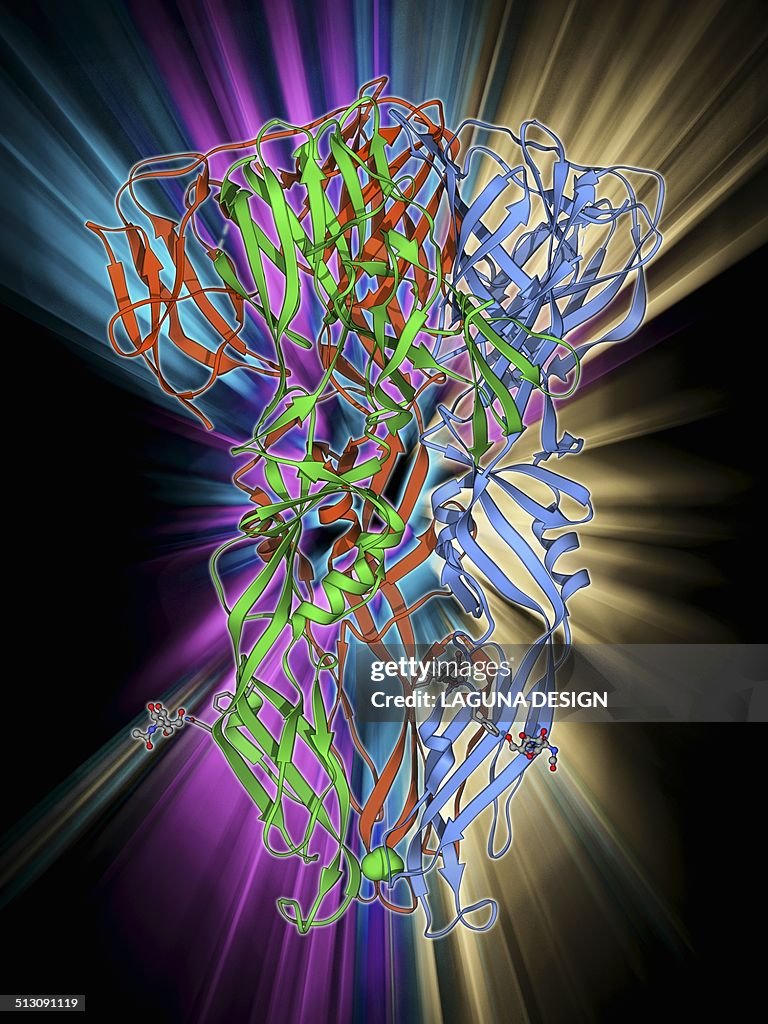 Dengue virus surface protein molecule