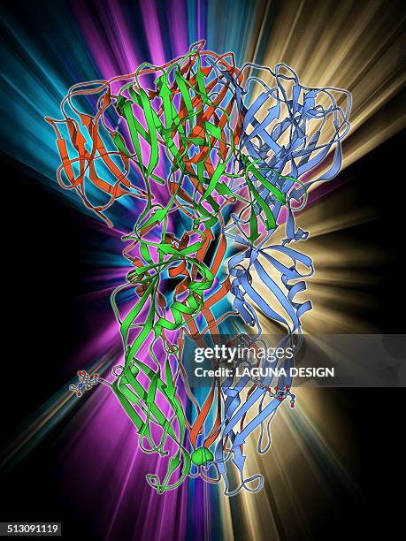 dengue virus surface protein molecule - envelope protein stock illustrations
