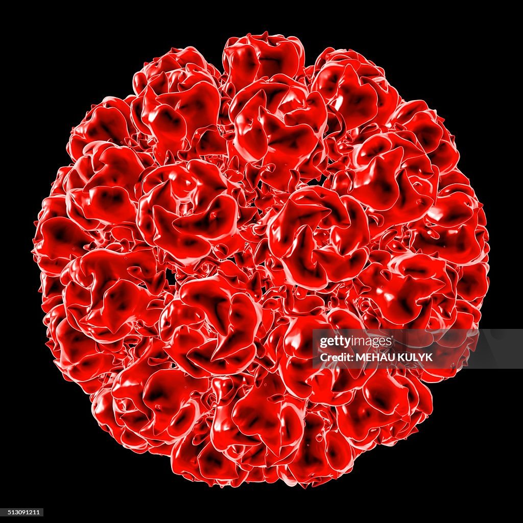 Simian virus 40, artwork