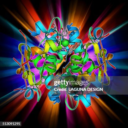 Insulin molecule Insulin molecule