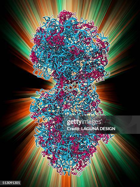 70s ribosome, molecular model - ribosome stock illustrations