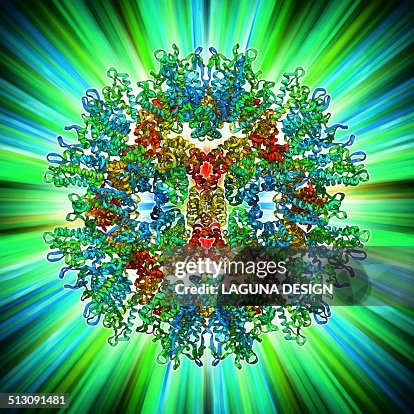 Rous sarcoma virus capsid Rous sarcoma virus capsid