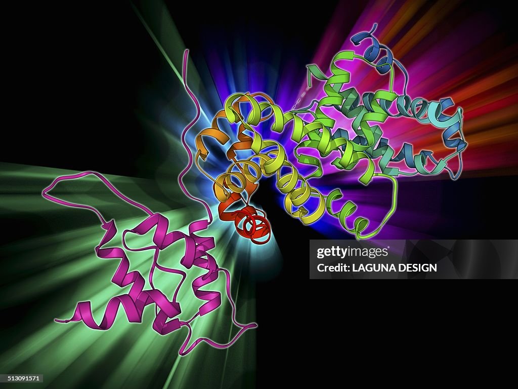 SV40 antigen and tumor suppressor