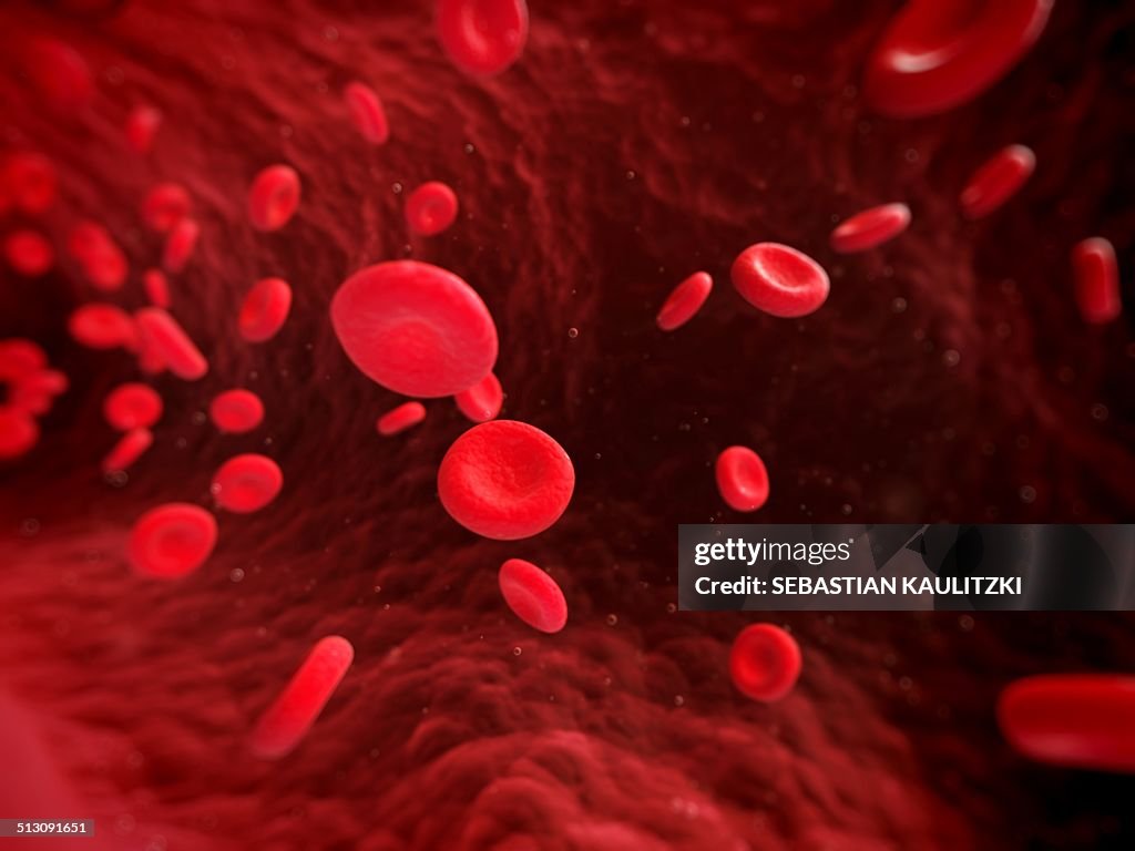 Human red blood cells, artwork