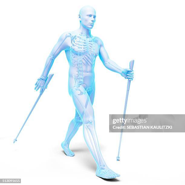 nordic walker, artwork - nordic walking stock illustrations