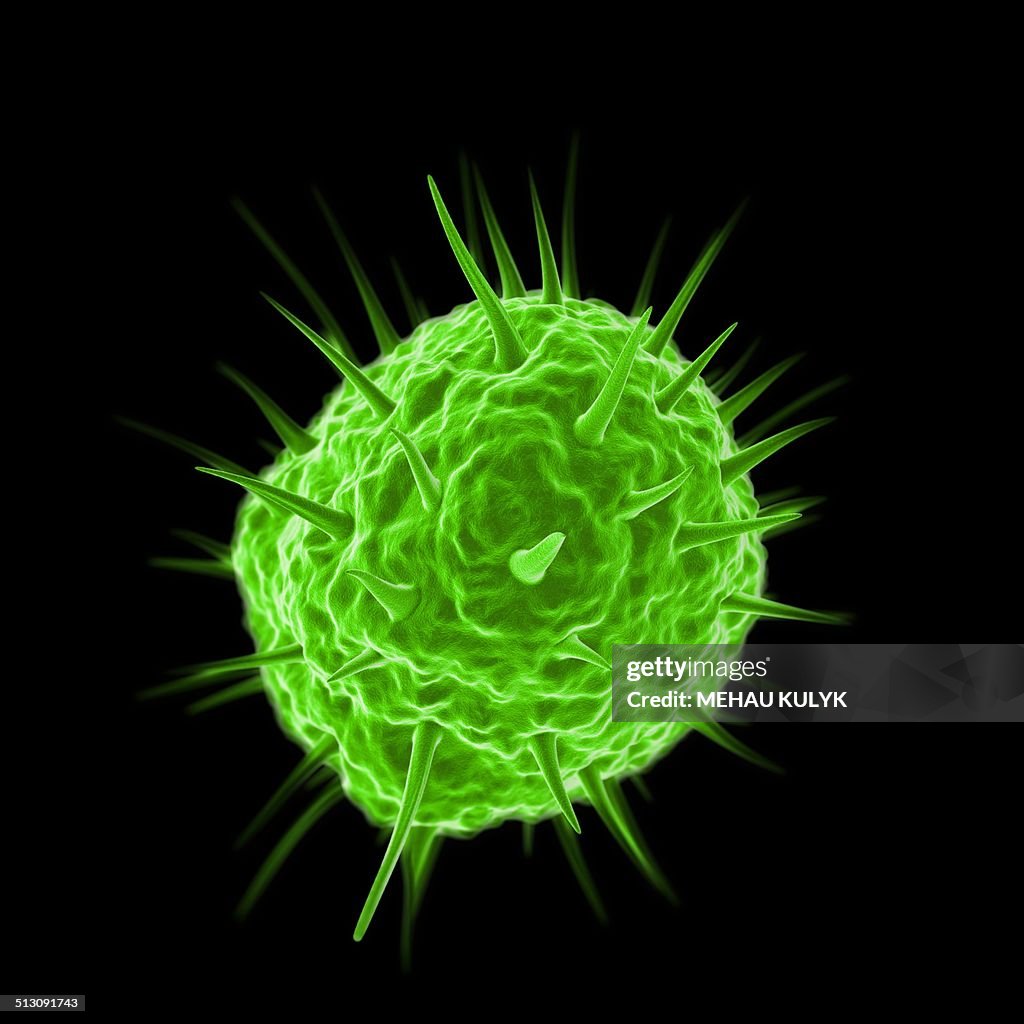 Mimivirus, artwork