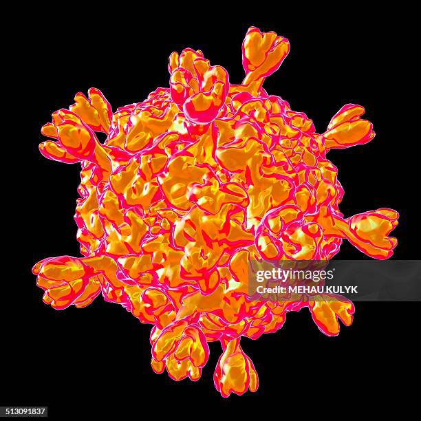 Smallpox Organs Smallpox Molecule Photos and Premium High Res Pictures - Getty Images