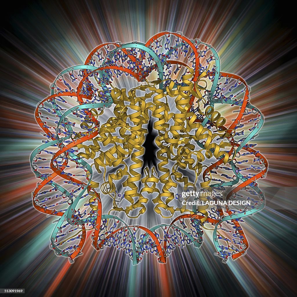 Nucleosome molecule