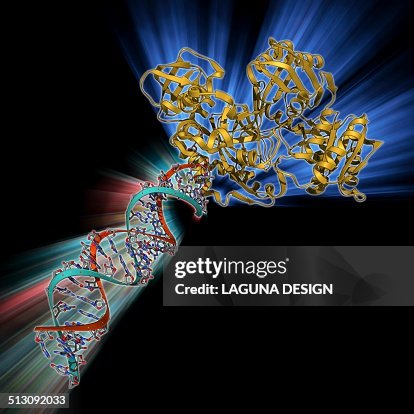 RNA-induced silencing complex RNA-induced silencing complex