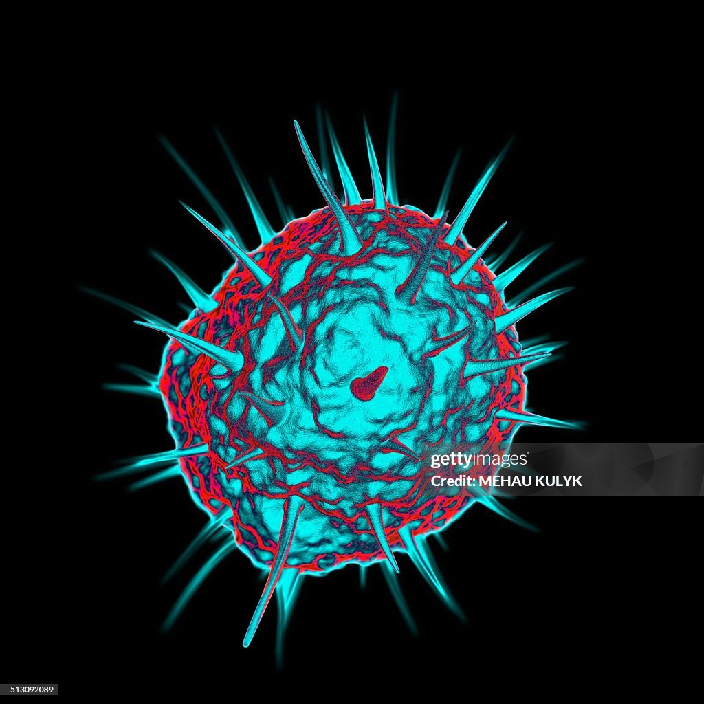 Mimivirus, artwork