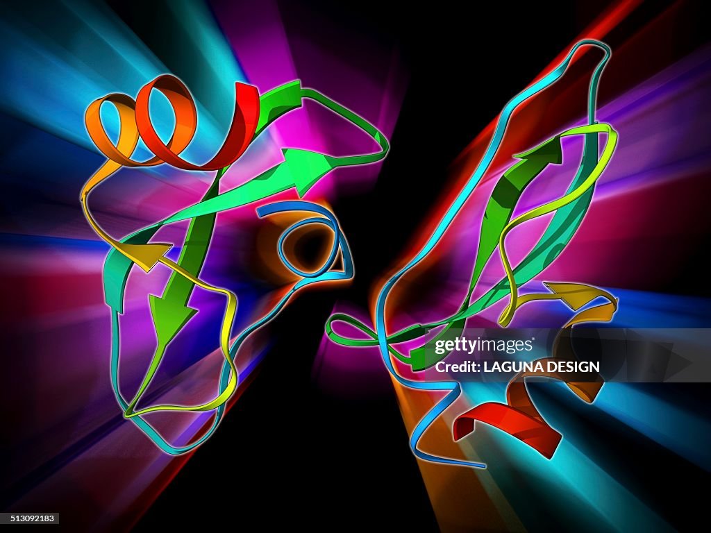 Amyloid precursor protein molecule