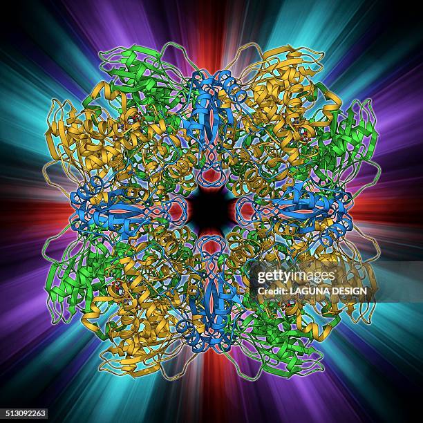 rubisco enzyme molecule - enzyme structure stock illustrations