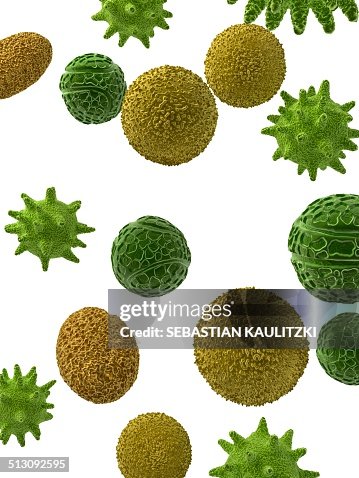 Pollen, artwork Pollen, artwork