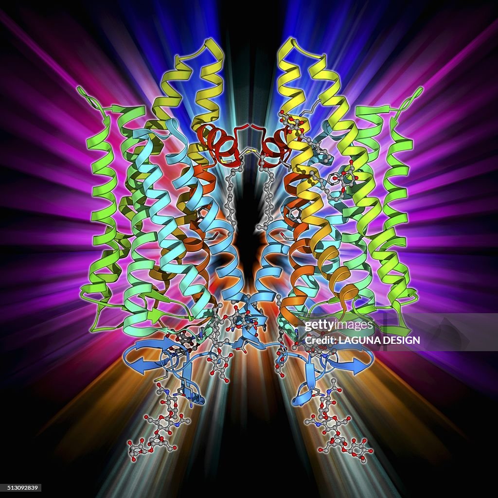 DNA and MECP2 complex, molecular model