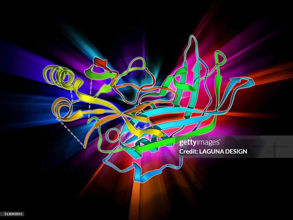 Ebola matrix protein molecule