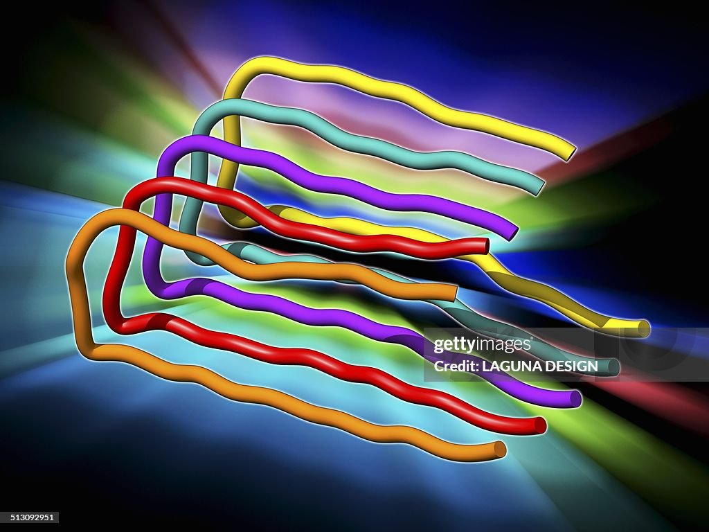Amyloid beta protein molecule