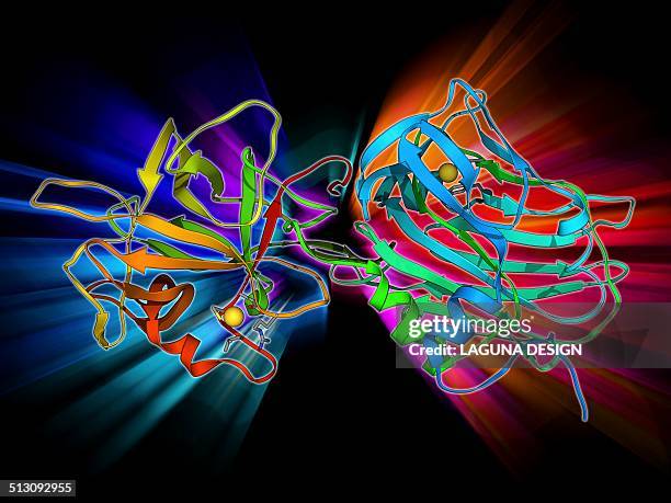 tetanus toxin c-fragment molecule - clostridium tetani stock illustrations