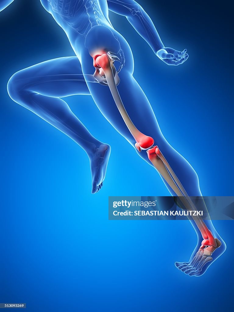 Running Joint Pattern Runners Joints Artwork High-Res Vector Graphic - Getty Images