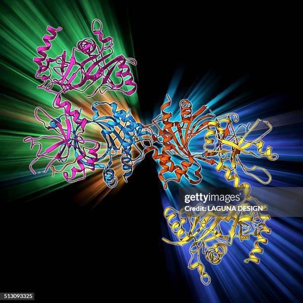 mrna capping apparatus - enzyme stock illustrations