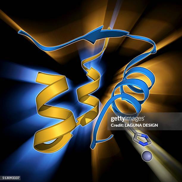 insulin molecule - insulin stock illustrations