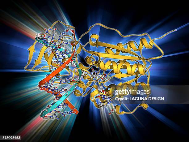 methyltransferase and dna - epigenetics stock illustrations